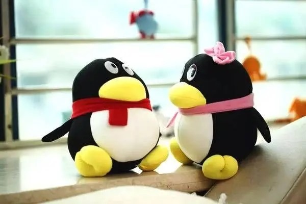 长时间不使用qq号会不会被收回？